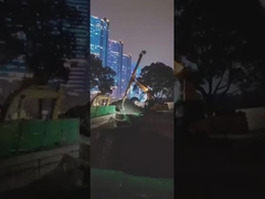 cánh tay kính thiên văn 14M cho máy đào CAT320